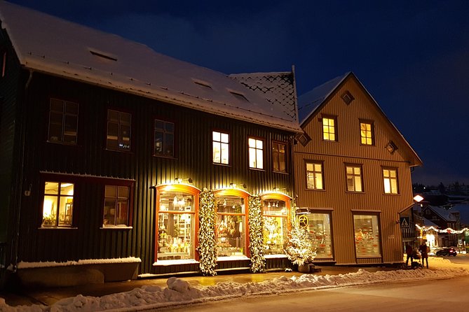 Tromsø City Walk - Tour Highlights