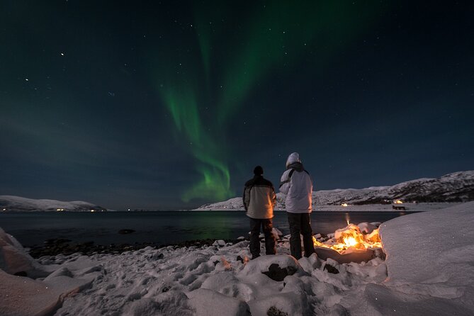 Tromsø Norway - Small Group Aurora Hunt Tour With a Local Guide - Tour Overview
