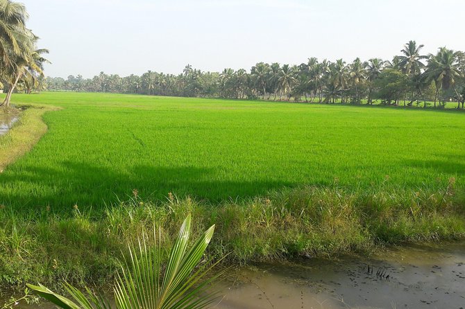 Tropical Kerala in South India Abounds Nature, Culture & History - Picturesque Landscapes and Backwaters