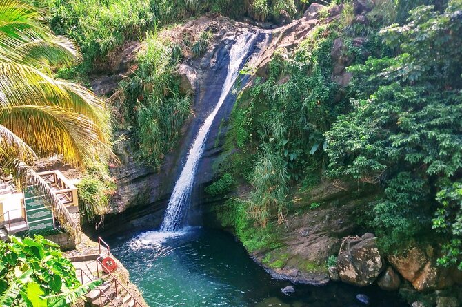 Tropically Yours