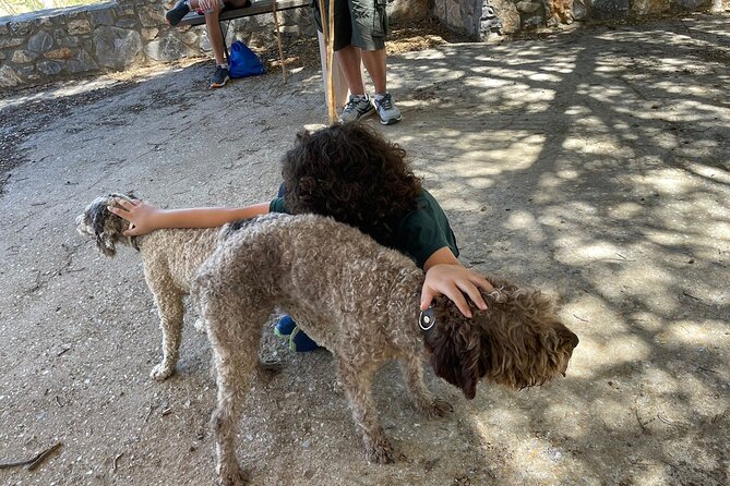 Truffle Hunting, Culinary & Wine Celebration From Heraklion