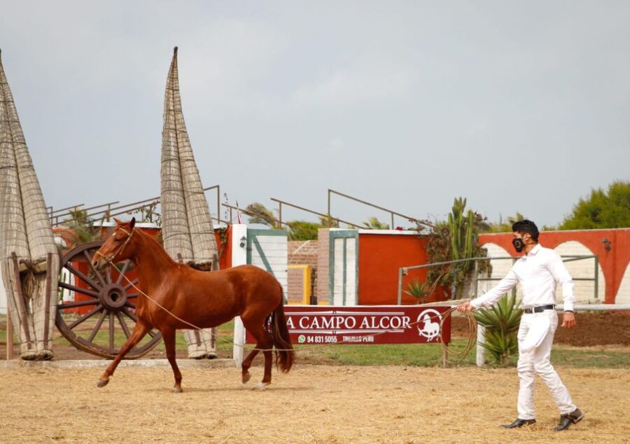 Trujillo: Chan Chan + Walking Horses + Huanchaco |Entrance|