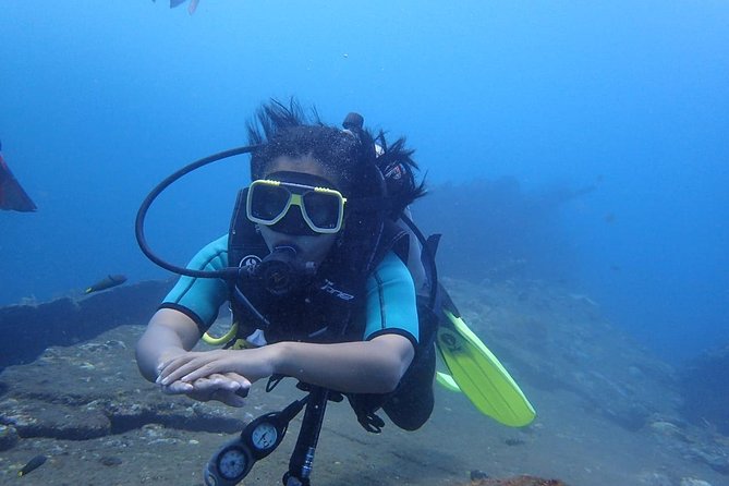 Try Scuba Diving at the Liberty Wreck Tulamben (From South Bali ) 1 or 2 Dives