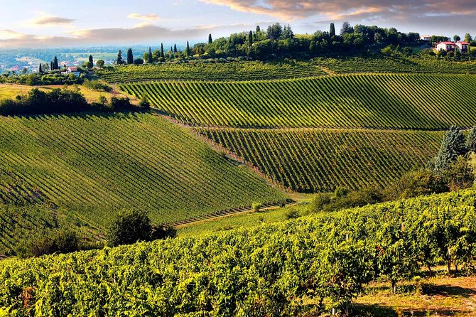 Tuscany Countryside From Livorno: Private Volterra, San Gimignano & Wine Tasting - Tour Overview