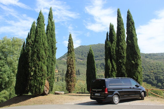 Tuscany Secret Winery Tastings and Lunch Group Tour From Lucca - Pisa