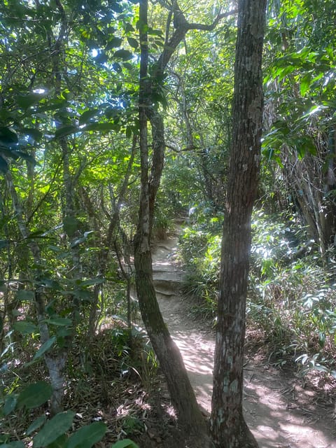 Two Brothers Mountain Hike - Trilha Do Morro Dois Irmãos - Overview of the Hike