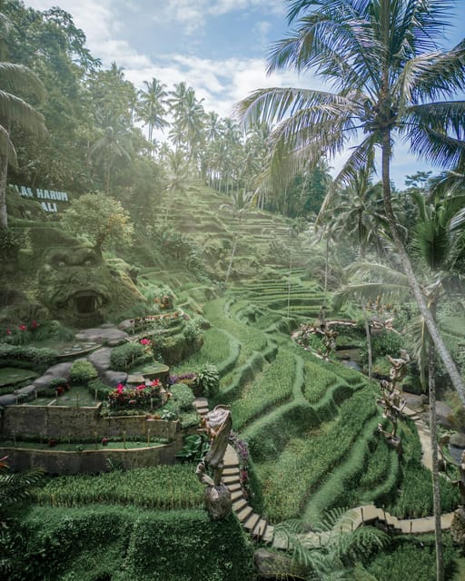 Ubud: Alas Harum Day-Pass With Swing, Sky Bike & Flying Fox