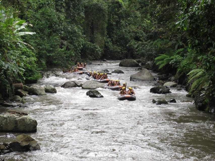 Ubud Ayung River Rafting Include Lunch