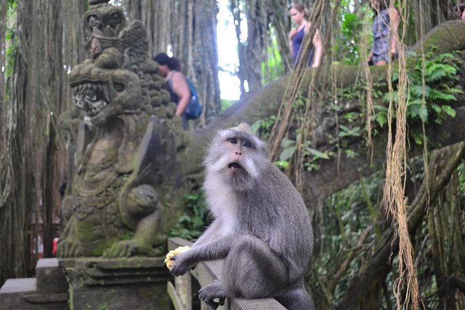 Ubud Full Day Tour - Costumeize Your Own Trip