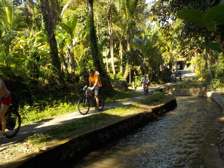Ubud: Half-Day Tegallalang Electric Cycling Tour - Tour Overview and Pricing