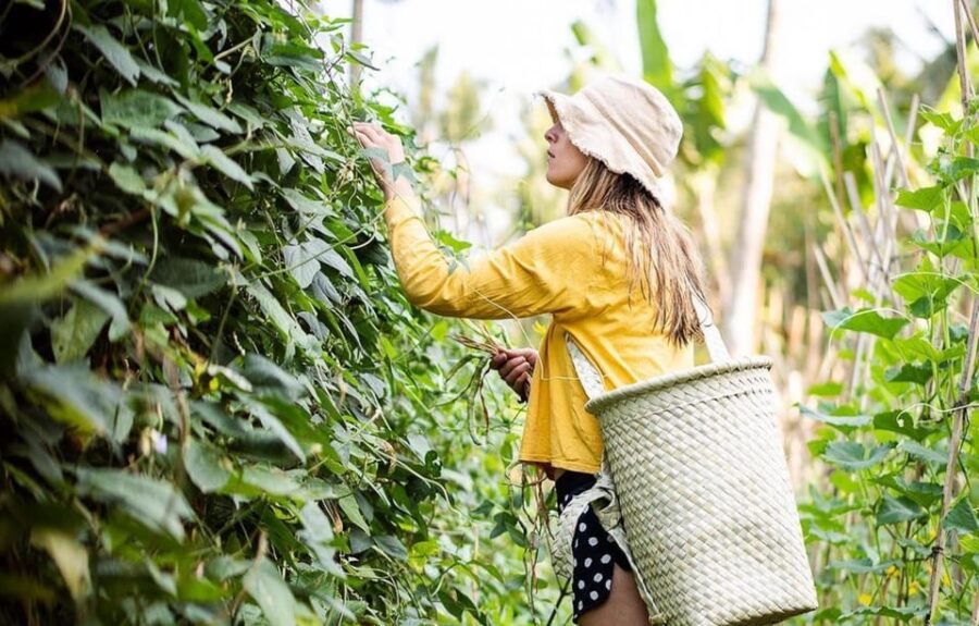 Ubud: Real Bali Farm Cooking Class & Market Visit
