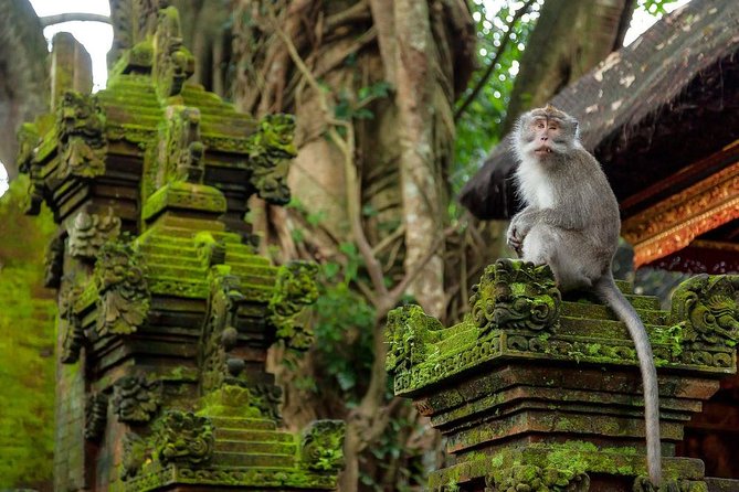 Ubud Tanah Lot Sunset Tour