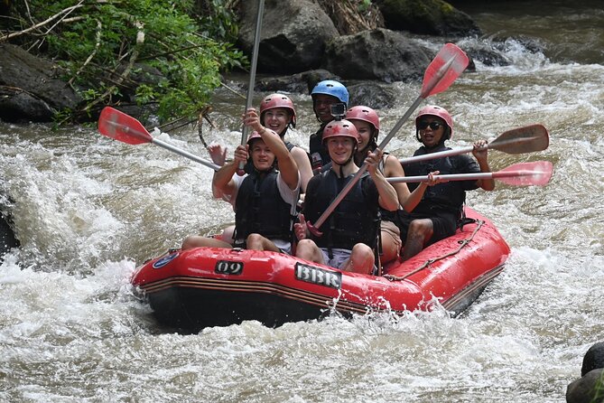 Ubud Top Waterfall Surounding With Rice Terrace All Include