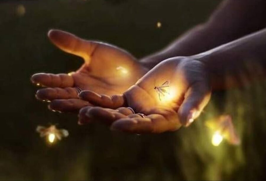Ubud: Village Firefly Night Tour With Dinner - Tour Overview