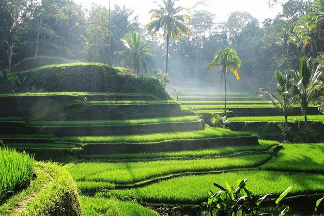 Ubud Waterfall Tour