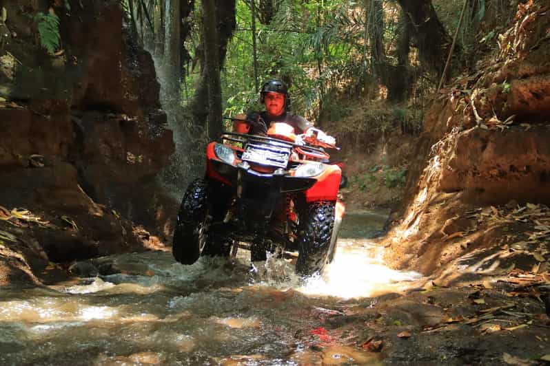 Ultimate Adventure With Bali Tarantula ATV (Hotel Transfer)