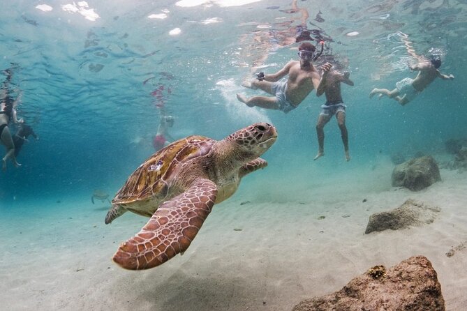 Ultimate Full-Day Private Tour: Discover All Curacao Highlights