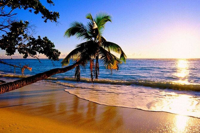 Ultimate North Shore Adventure: Full-Day Hawaiian Experience