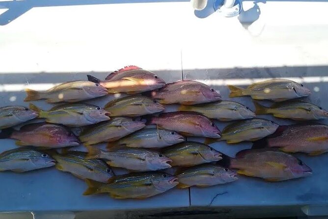 Ultimate Waikiki Fishing Tour