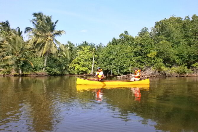 Unawatuna Lagoon Canoeing Excursion