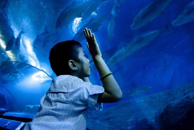 Underwater World Pattaya (Ticket Only)