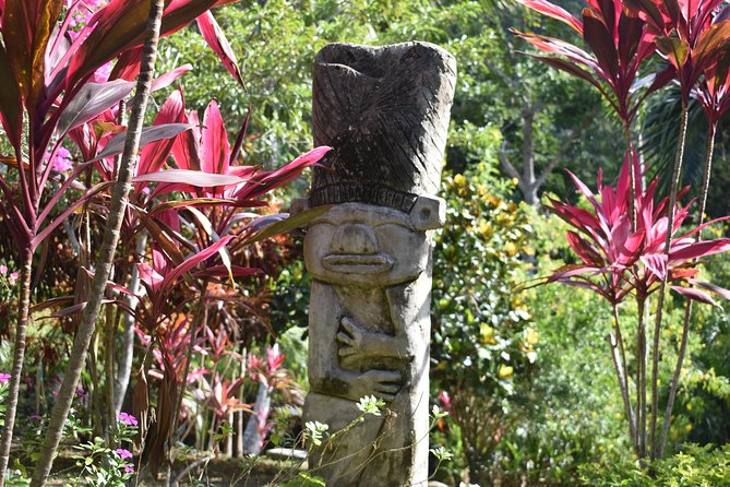 Unearth Indigenous Wisdom and Hike Through Lush Rainforest