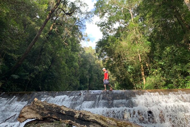 Unique Dalat Forest Coffee Harvest, Production & River Experience - Exploring Dalats Organic Coffee Farm