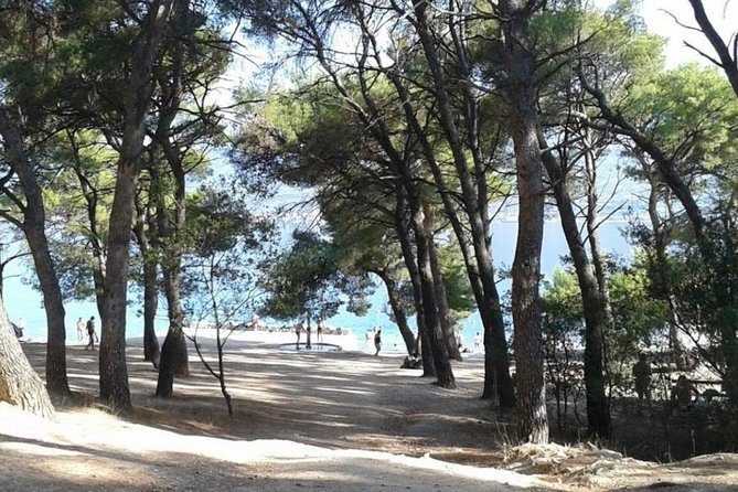 Unique Routes on Electric Scooters- Beaches and Riva Promenade !