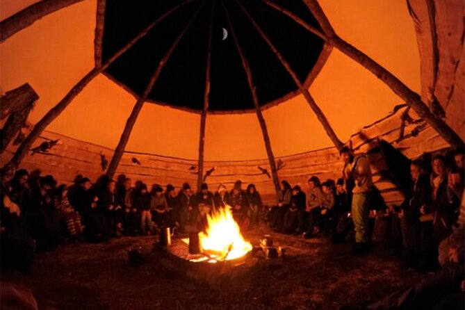 Ushuaia: Snow & Fire: Dog Sled and Snowshow By Night - Harnessing the Power of Huskies