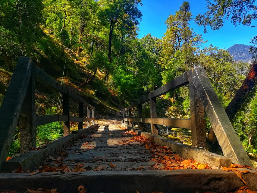 Uttarakhand: Pindari Glacier Trek With Danu Adventure - Trek Overview