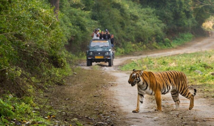 Uttarakhand Wonders: Nainital & Corbett Adventure