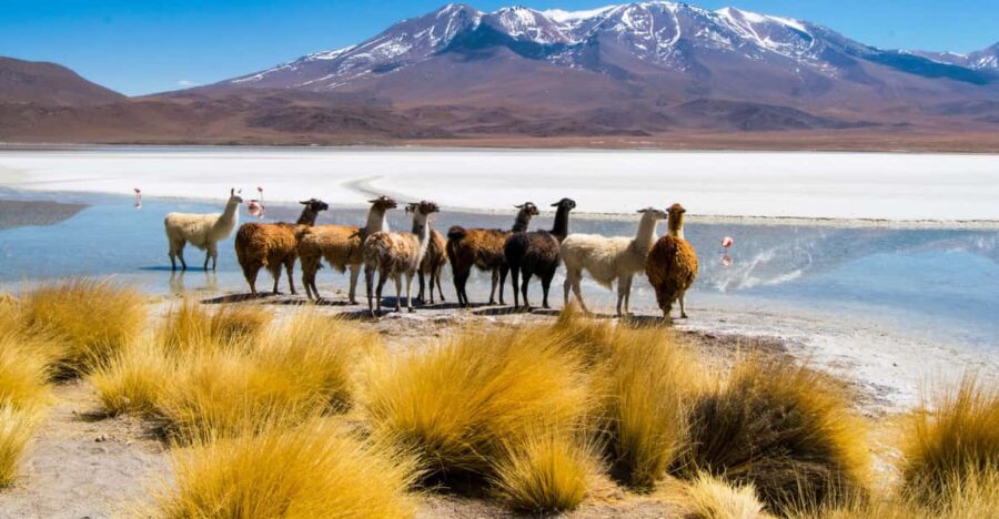 Uyuni: 3 Day-Tour, Salt Flats & Surrealistic Deserts