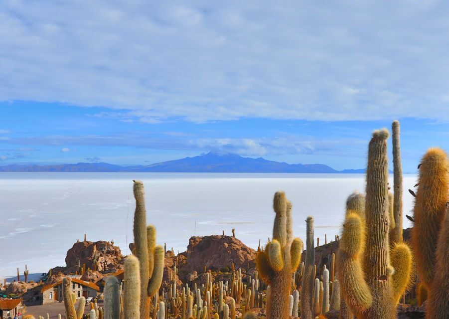 Uyuni: Night of Stars + Salt Hotel 3-Day | Guide in English