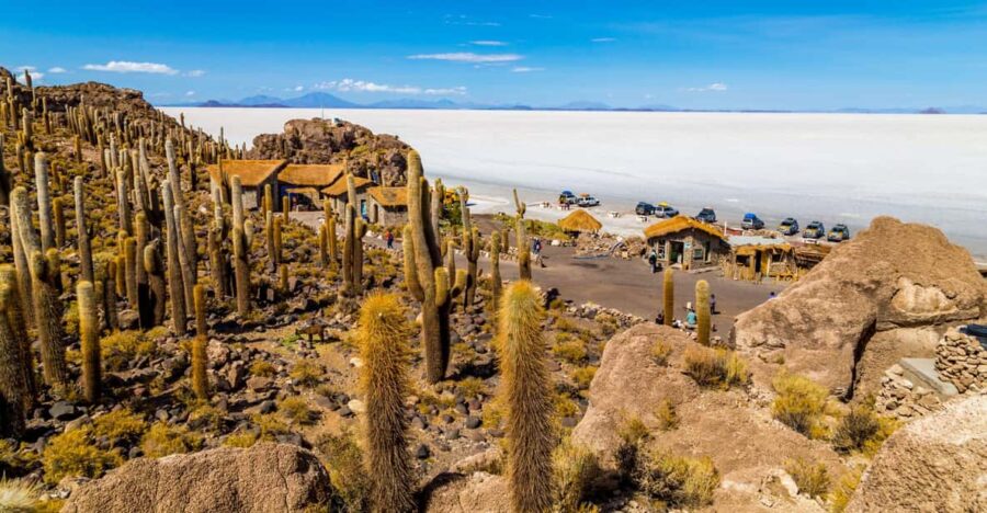 Uyuni Salt Flat and Incahuasi Island 5 Days - Tour Overview