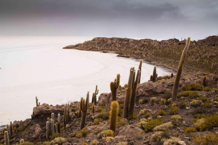 Uyuni Salt Flat: From Sucre | 1 Day and 1 Night