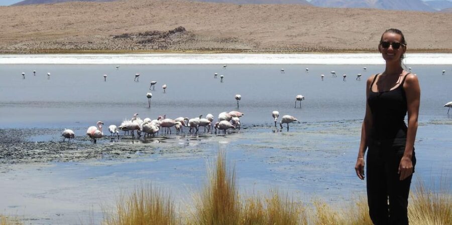 Uyuni Salt Flat Tour From San Pedro De Atacama 3d/2n+Hostal