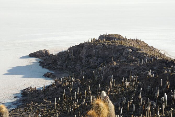 Uyuni Salt Flats 3-Day Tour From Atacama > Private Room Available