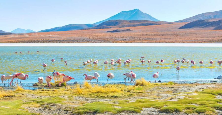 Uyuni Salt Flats and Red Lagoon 3-Days | English in Guide |