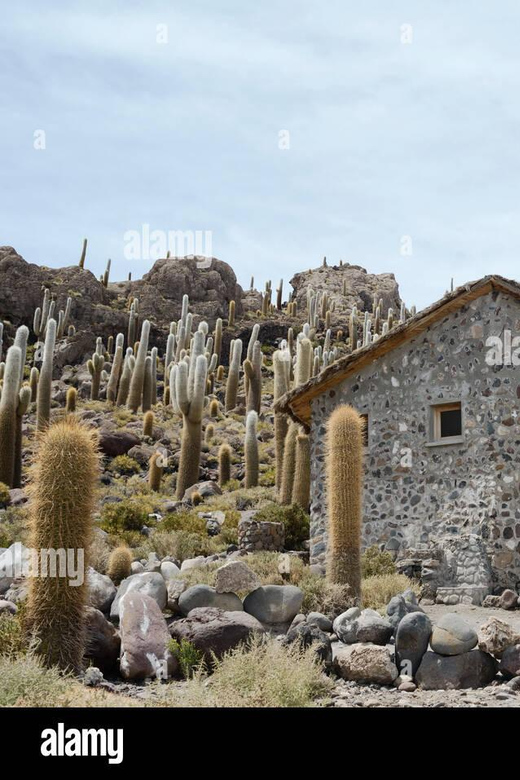 Uyuni Salt Flats Tours 1 Day - Tour Overview