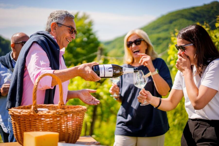 Valdobbiadene:Prosecco Superiore Hills Tour With Winetasting - Tour Overview