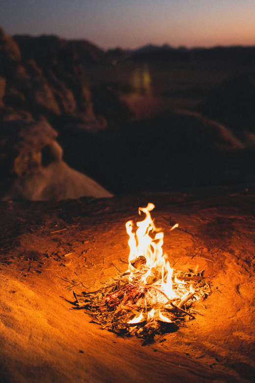 Valley Of Fire: Red Sands Adventure Las Vegas Wildlife