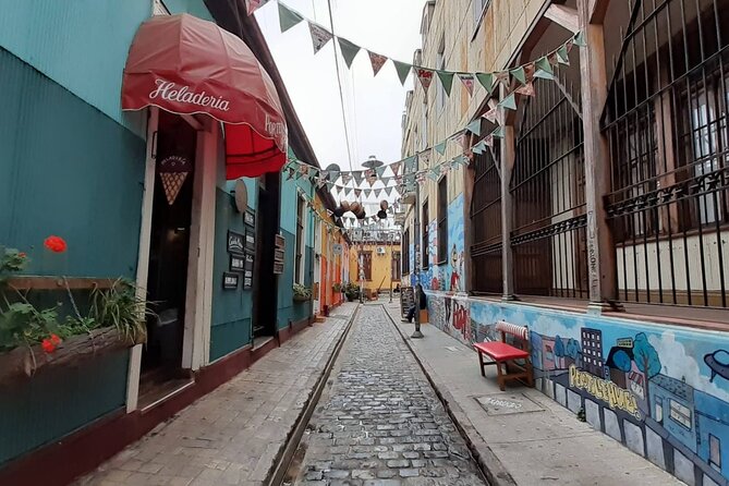 Valparaiso Private Tour and Wine Tasting