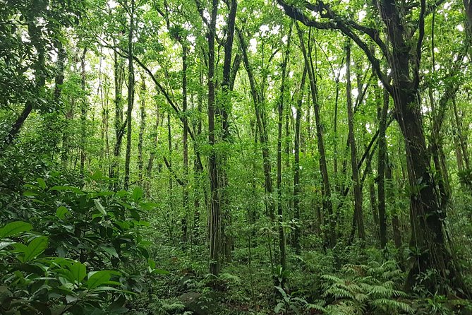 Vermont Nature Trail Hike - Overview of the Vermont Nature Trail
