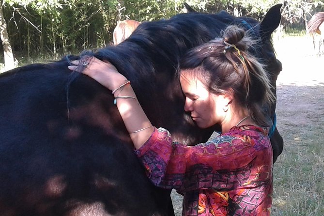 Vibrate Your Horse Heart – Healing With Horses