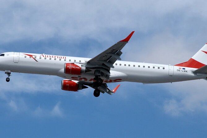 Vienna Airport Transfer From Vienna City With Private Driver - Vehicle Information