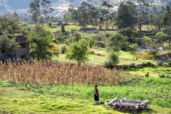 Vilcabamba To/From Cuenca Private Shuttle