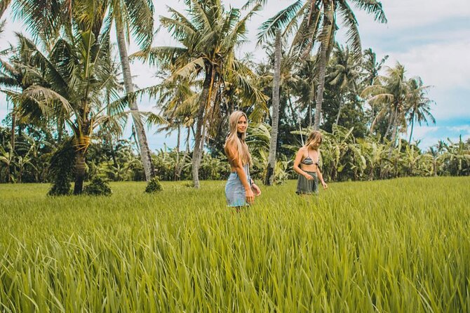 VILLAGE TOUR & RICE FIELDS TREKKING Jambangan Bali