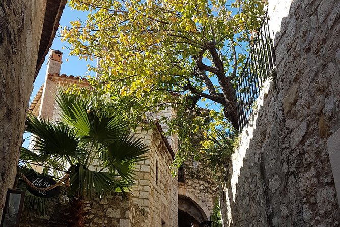 Villefranche Shore Excursion: 6 Hrs Private Tour of Nice, Eze and Monaco