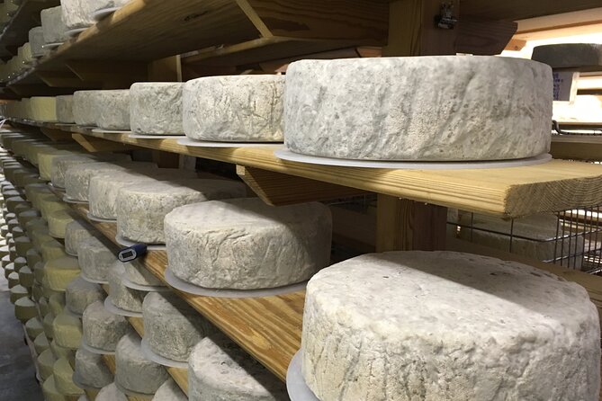Vineyard & Cheesemaker Bus Tour of Sussex - Tour Overview