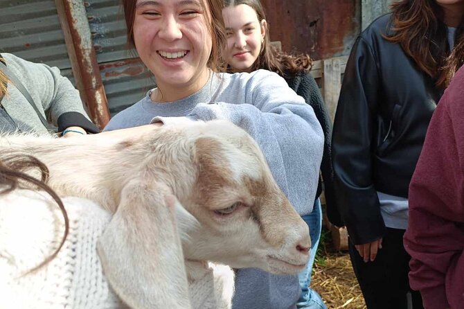 Visit a Goat Farm in a Village